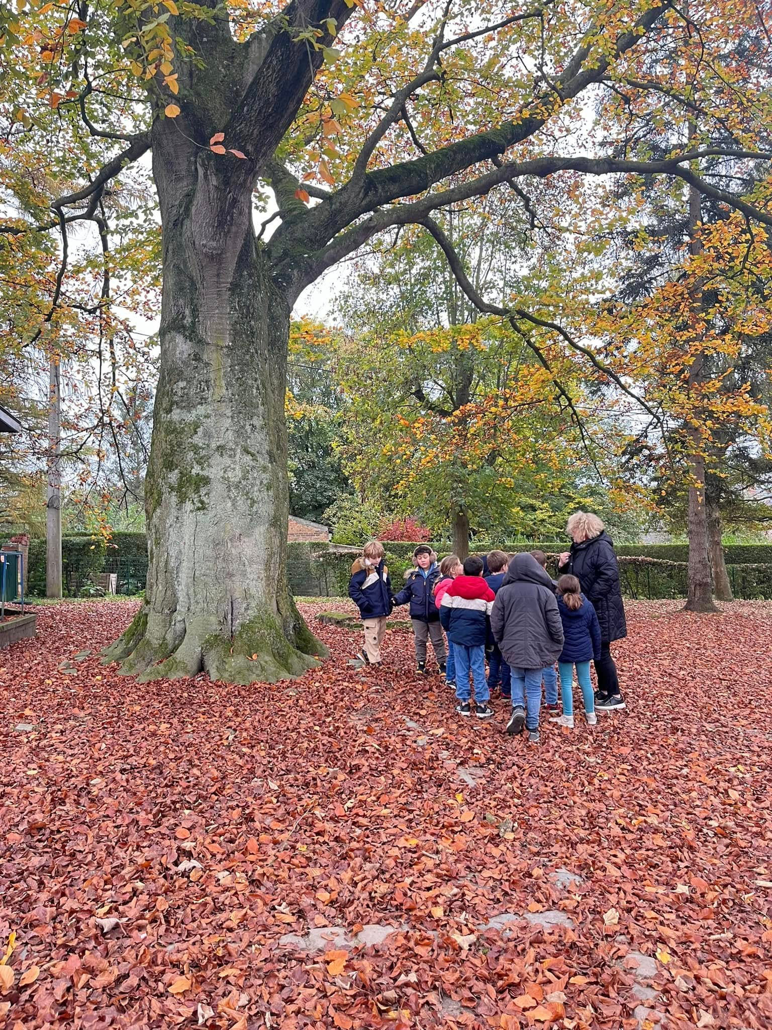 Ecole des Carrières